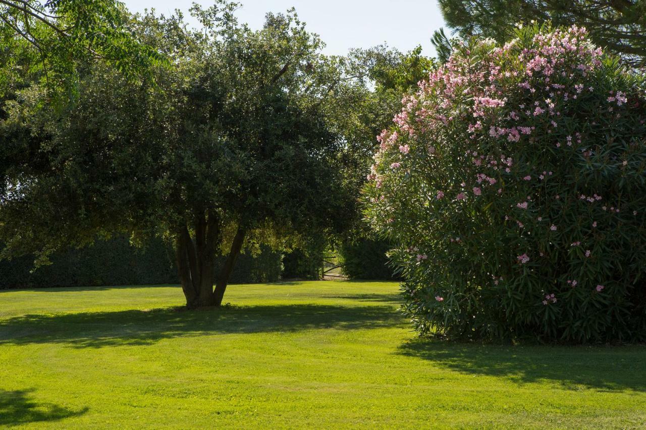 Villa Aia Vecchia Bibbona Dış mekan fotoğraf