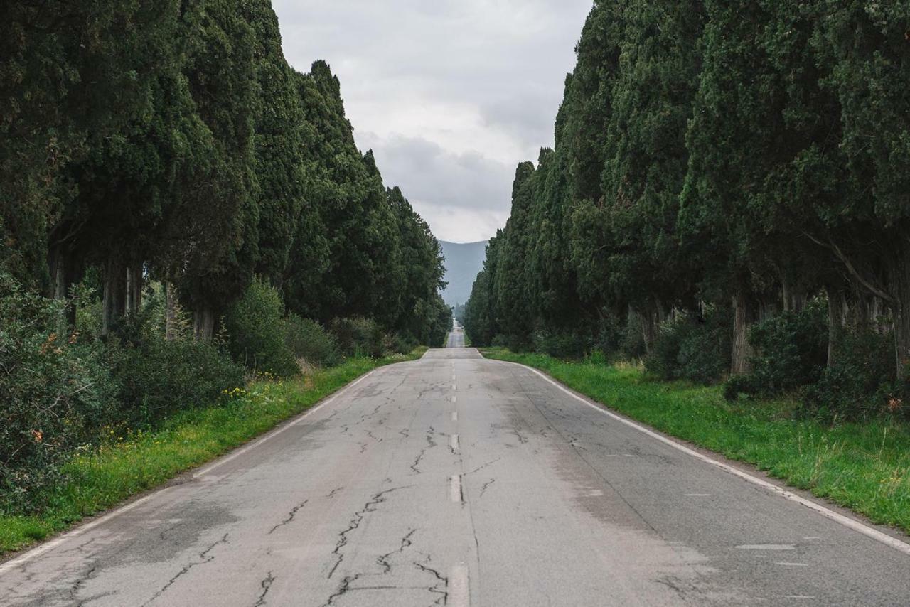 Villa Aia Vecchia Bibbona Dış mekan fotoğraf